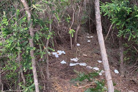 Toilet paper and faeces at a campground amongst trees on Tasmania's East Coast