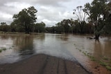 The flooded Belyando River crossing on Carinya station, north-east of Alpha.