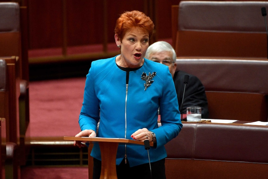 Pauline Hanson makes her maiden speech in the Senate.