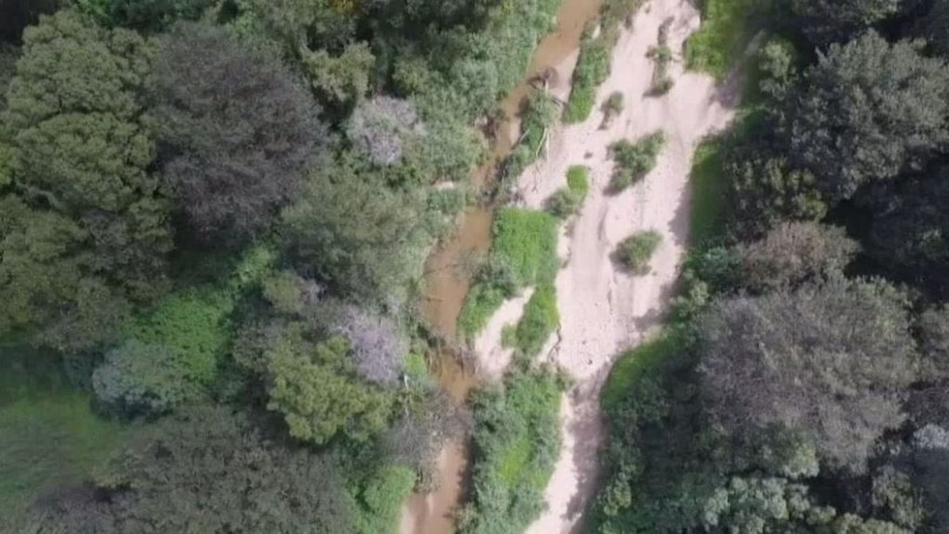 Aerial vision of Kedron Brook