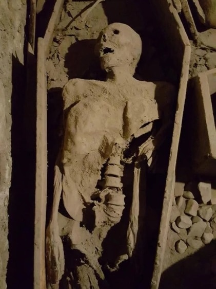 A mummified body lies in a dusty decaying coffin. Parts of the mummy's skeleton are visible, the bandages and flesh rotted away