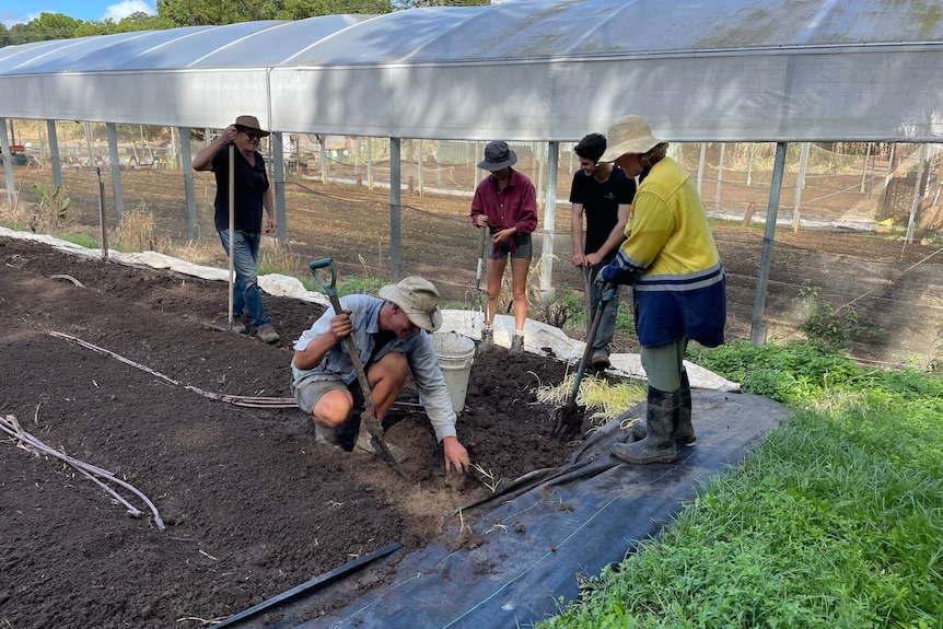 Photo of a group of people shoveling soil.