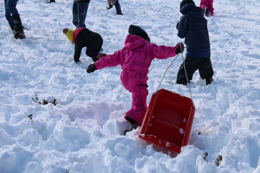Kids play in the snow.