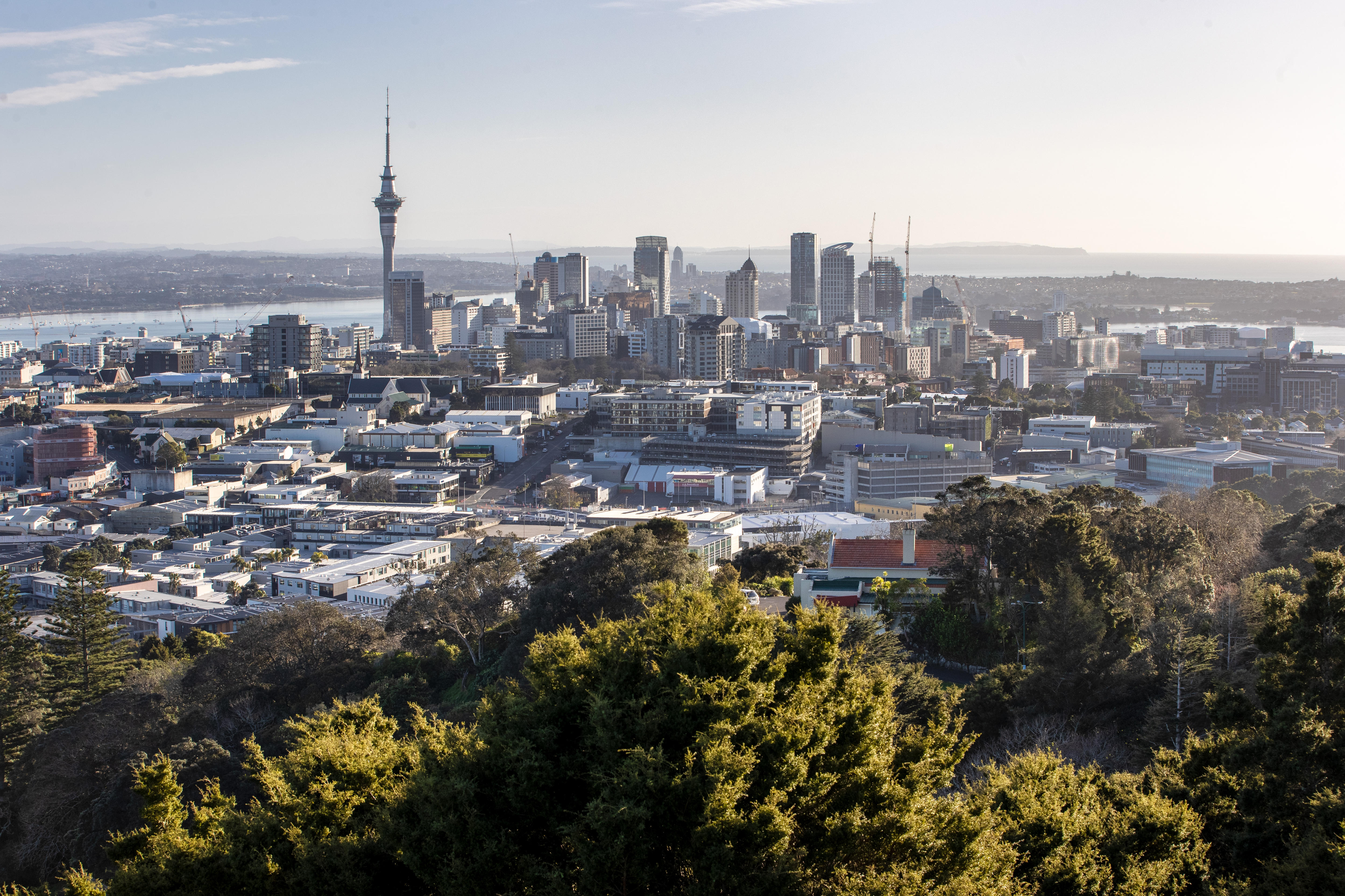 The skyline of Auckland 