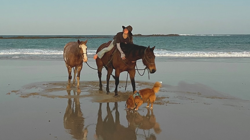 A young woman sits on a horse, which is tethered to another horse, while a dog plays on the tideline at a beach.