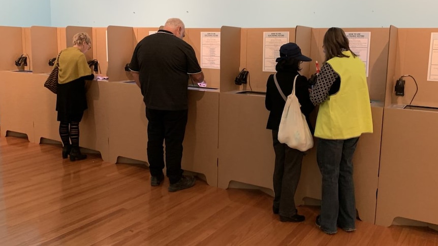 Voters in the ACT election.