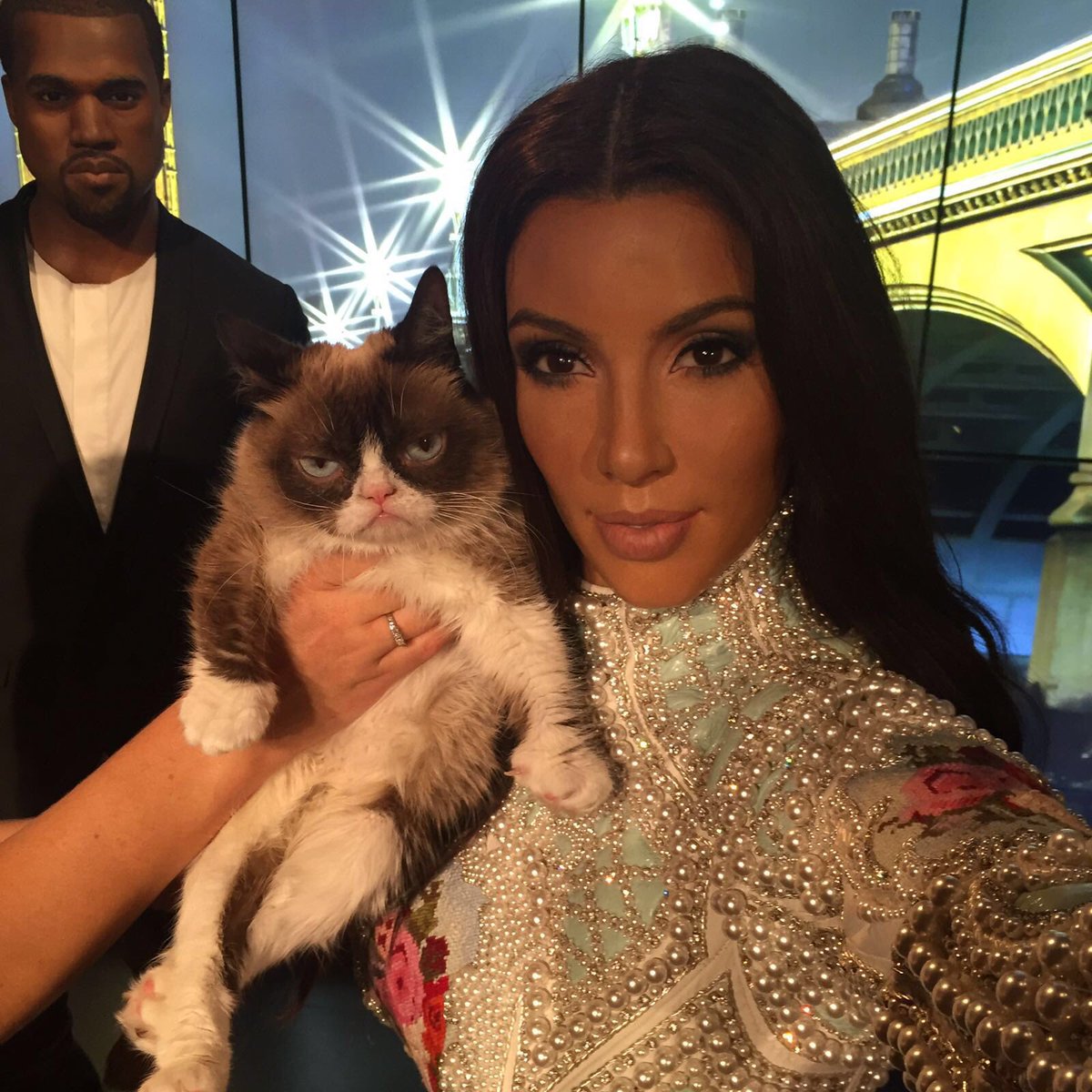 Grumpy Cat unimpressed with figure at Madame Tussauds wax museum in