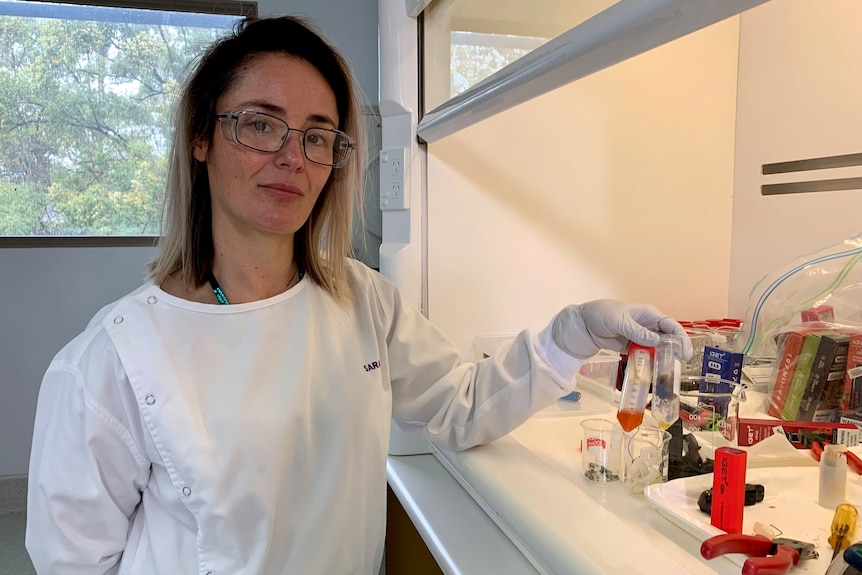 Sarah Mullins is dressed in a lab coat, holding vials at Queensland Health's Forensic and Scientific Services