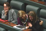 Victorian Labor MPs Judith Graley, Vicki Ward and Sonya Kilkenny clap and cry in Parliament.