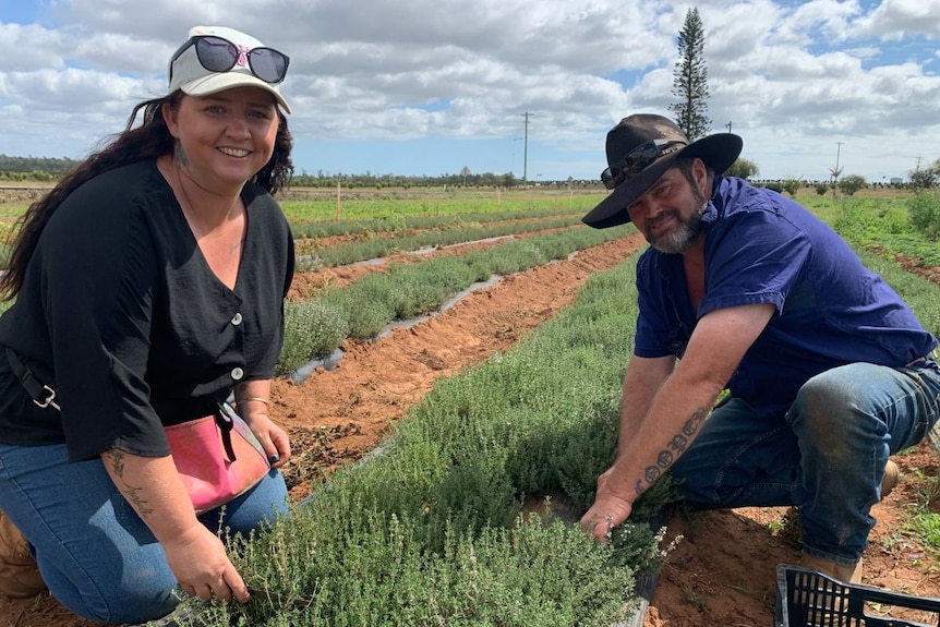 A man and woman crouch in a field of thyme.