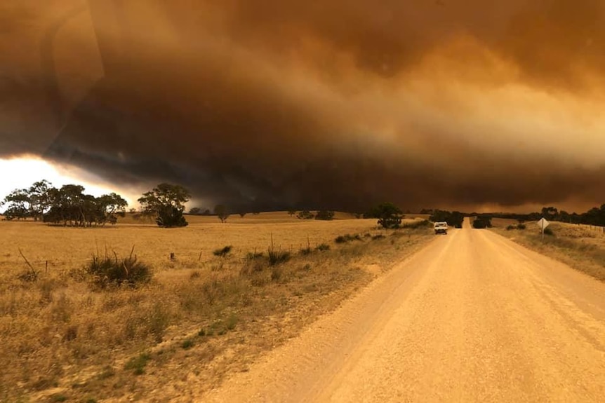 Smoke covers the sky over farmland.