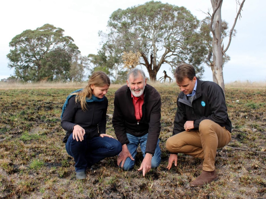 Karissa Preuss, Ken Hogkinson and Guy Barnett at CSIRO Experiment Station, near Hall.