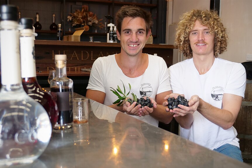 Dean Martellozo and Jared Smith hold handfuls of Illawarra plums with bottles of spirits in the foreground.