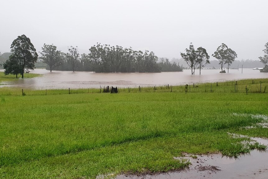 Floodwaters around the town of Telegraph Point in New South Wales