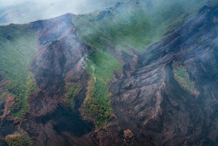 Mount Anne Track.