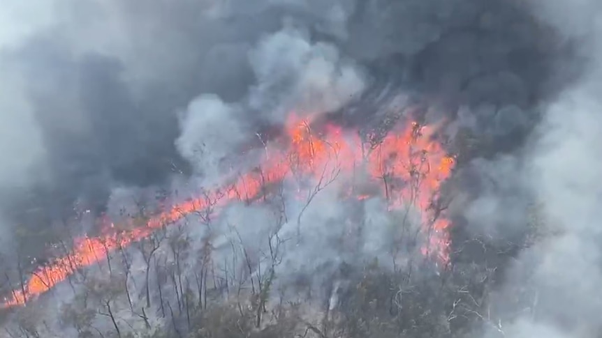 An aerial photograph shows glowing red-orange flames and thick smoke surrounding burning trees in a forest.