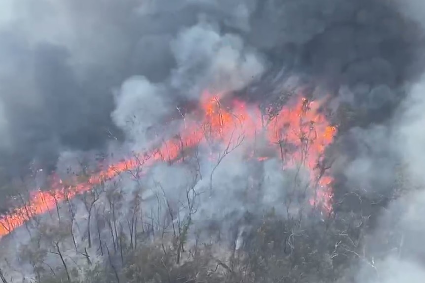 An aerial photograph shows glowing red-orange flames and thick smoke surrounding burning trees in a forest.