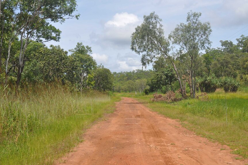 A red dirt road near Lake Bennett, surrounded by scrub.