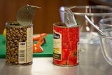 Cans of lentils and tomatoes