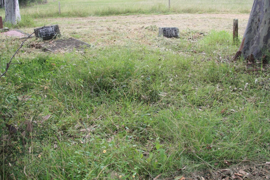 Two old graves in the background, with overgrown grass in the foreground.