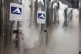 Alcor Life Extension Foundation cryogenic chambers. 