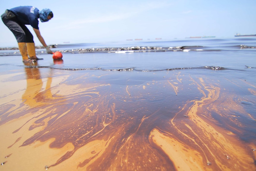 Oil washes up on the beach