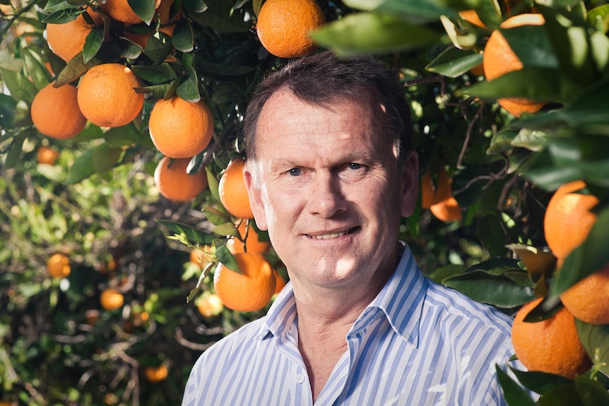 A man standing in under a orange tree.
