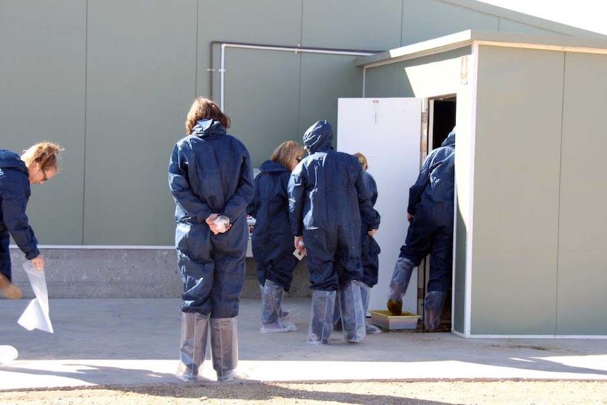 Journos enter the chook shed