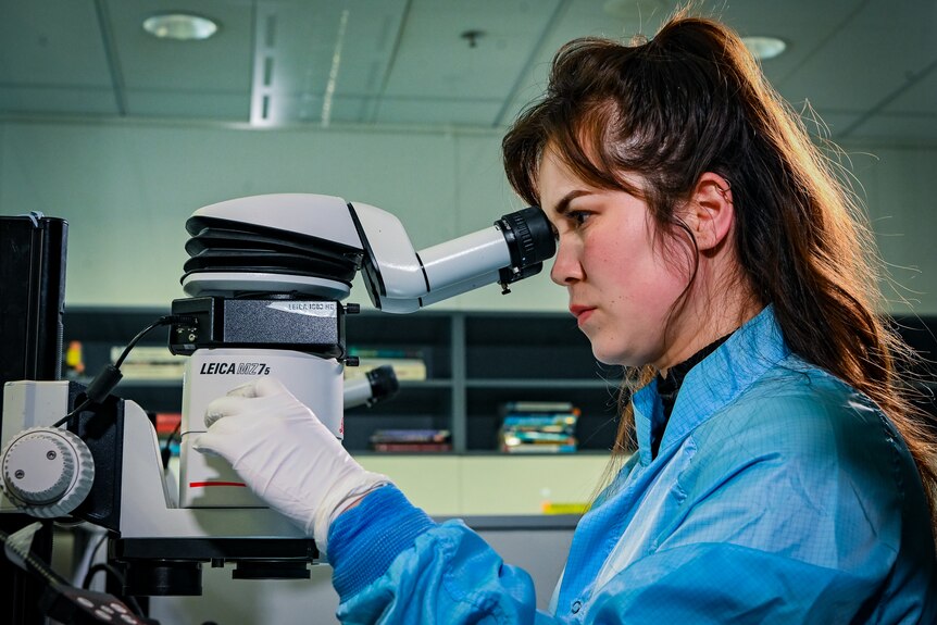 A female scientist in the lab.