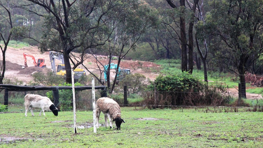 A Paddock next to a land site being developed