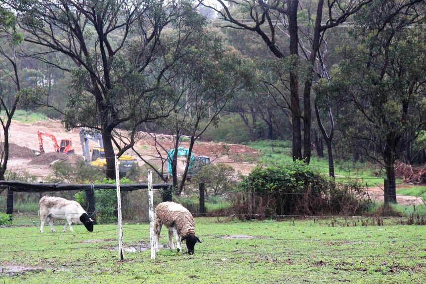 A Paddock next to a land site being developed