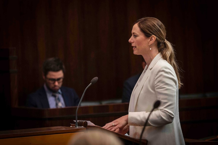 A young woman speaks in parliament