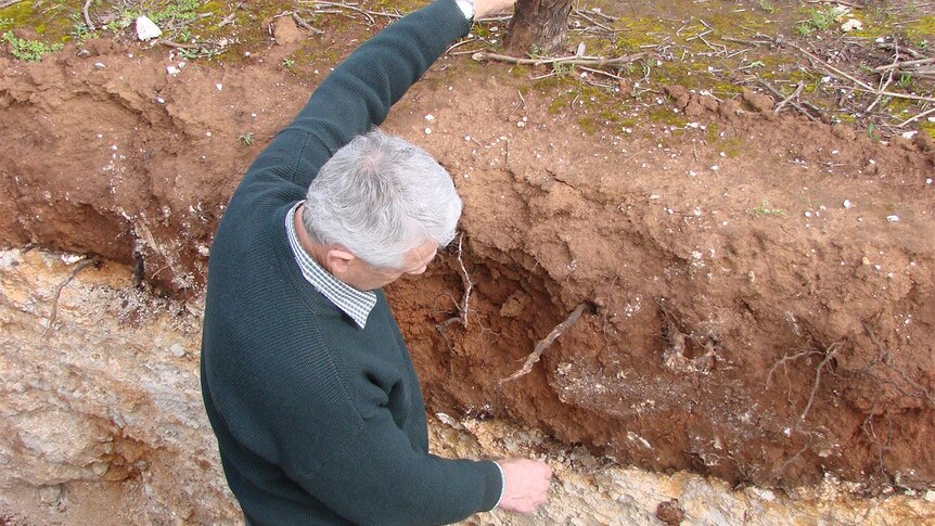Allen Jenkins explains the finer points of the Coonawarra soil