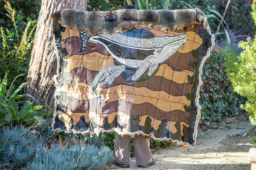 A Budbili, or possum skin cloak, is held up in a garden, showing the painted whale design.