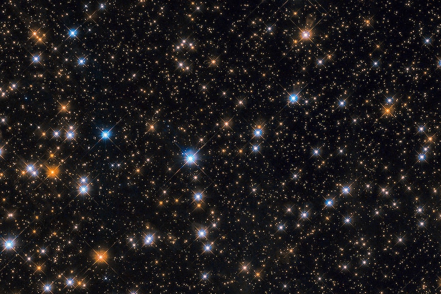 Dozens of super bright stars shine among hundreds of smaller ones against a black background.