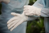 Two hands connected to a person in full protective gear adjust white surgical gloves.