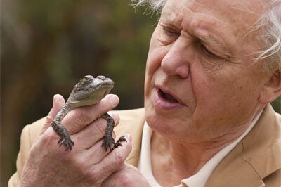 Sir David Attenborough on a visit to Australia in 2003