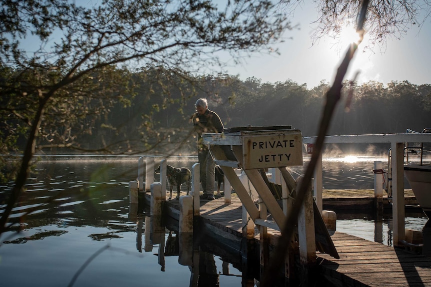 Trees obscure a woman with her dogs on a jetty, a sign saying 'private jetty' can be seen.