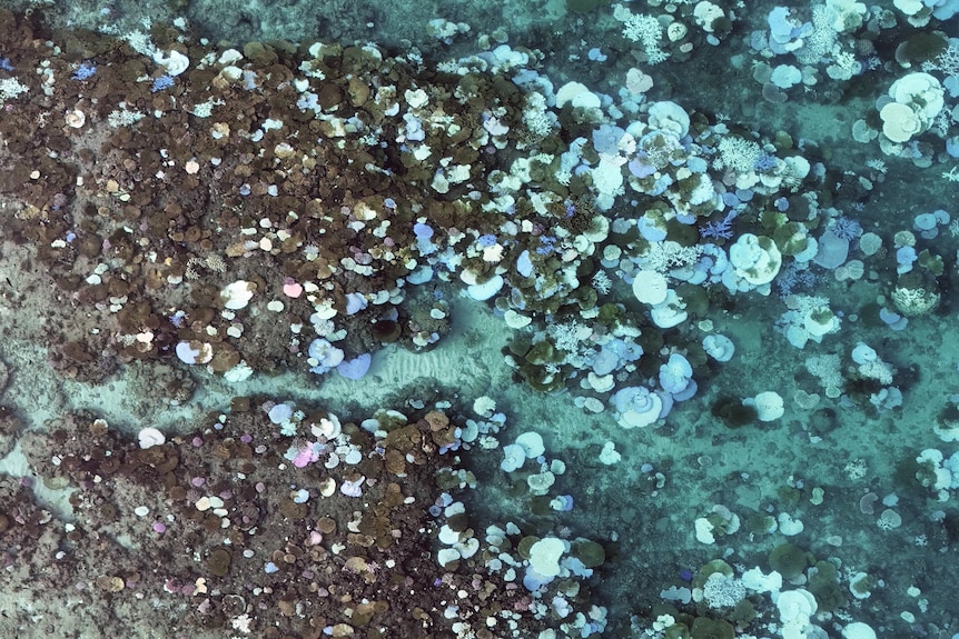 A drone image of bleached out coral formations of the Great Barrier Reef