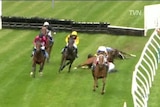 Horses put down after jumps races