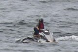 A shark fin behind a person riding on a Jet ski