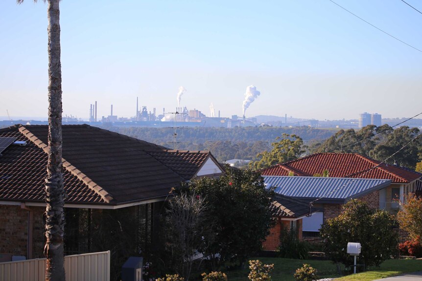 Figtree where the pollution spill occurred is just upstream from the Port Kembla steelworks.
