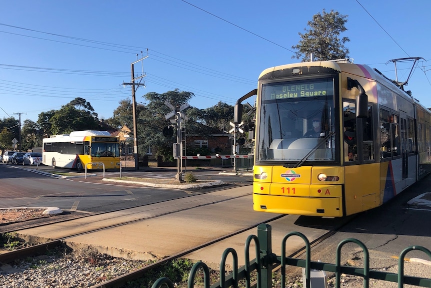 A tram at a level crossing with a bus waiting behind boomgates