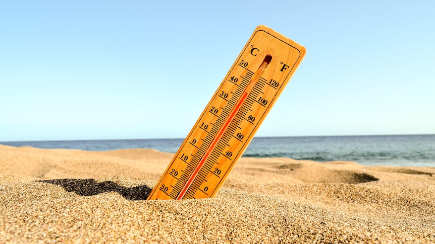 A thermometer sticking out of the sand at the beach