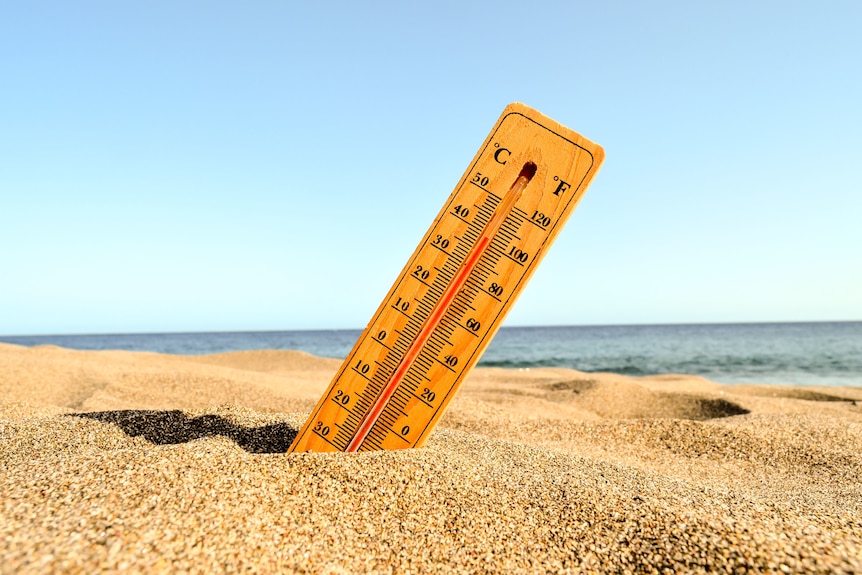 A thermometer sticking out of the sand at the beach