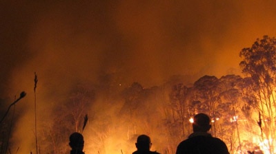 Victoria: Bushfires are still threatening communities across the state (file photo).