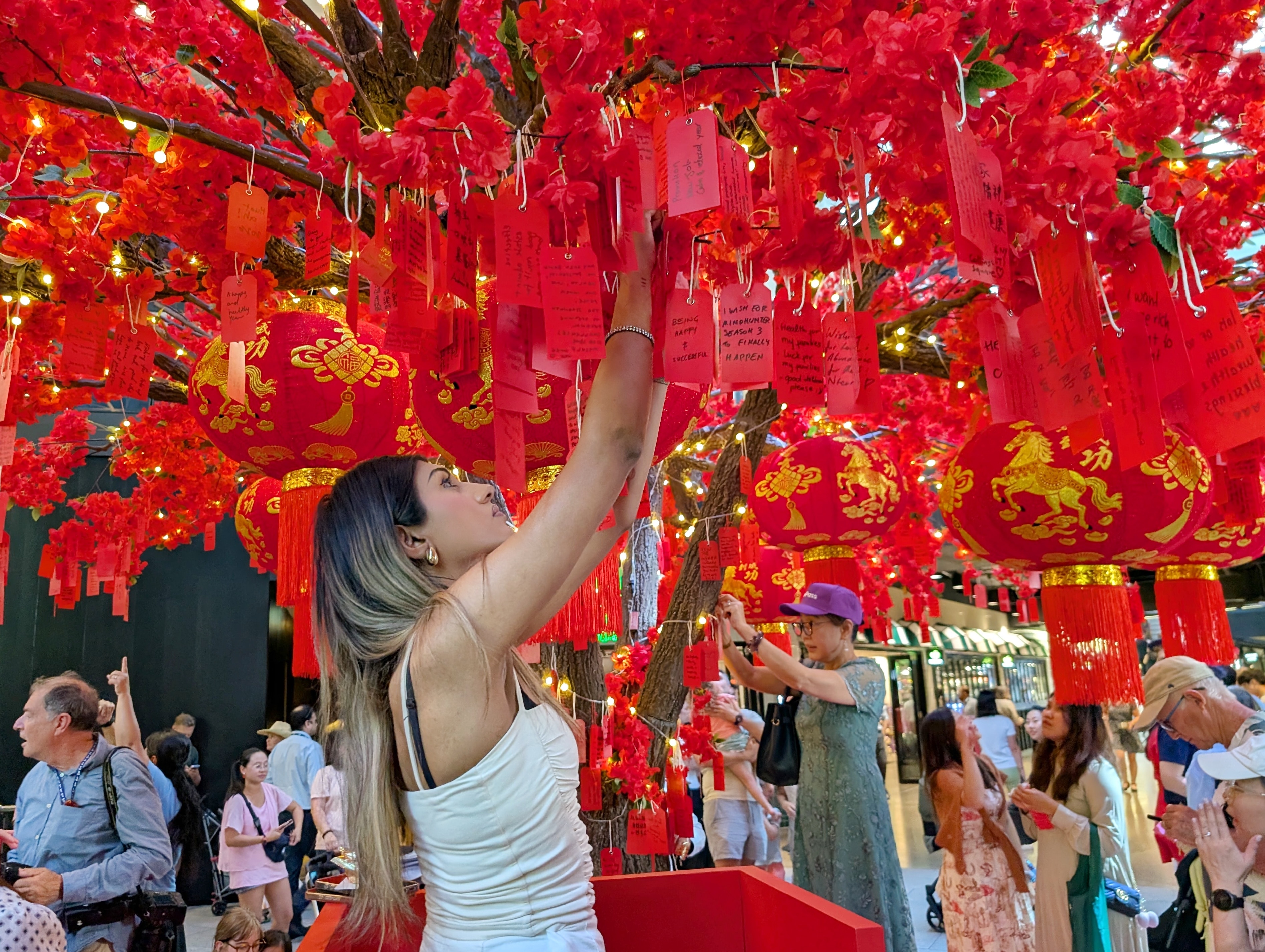 Lunar New Year celebrations paint Australian cities red