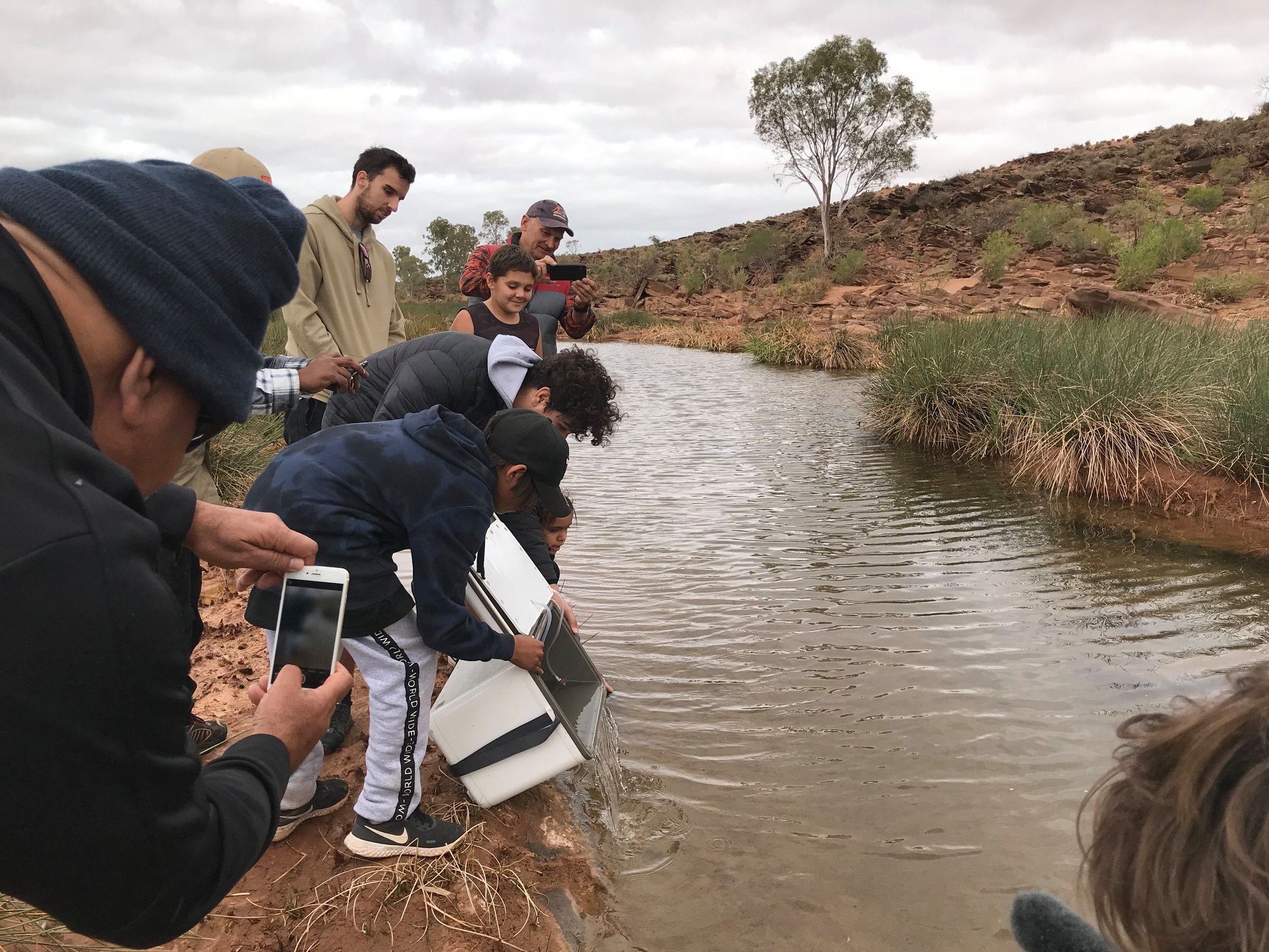 Purple Spotted Fish In A Spin As Chopper Relocates Them To Flinders Ranges Abc News