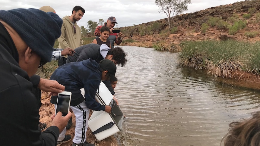 A group of people gather around an esky, the contents of which are being poured into a creek.