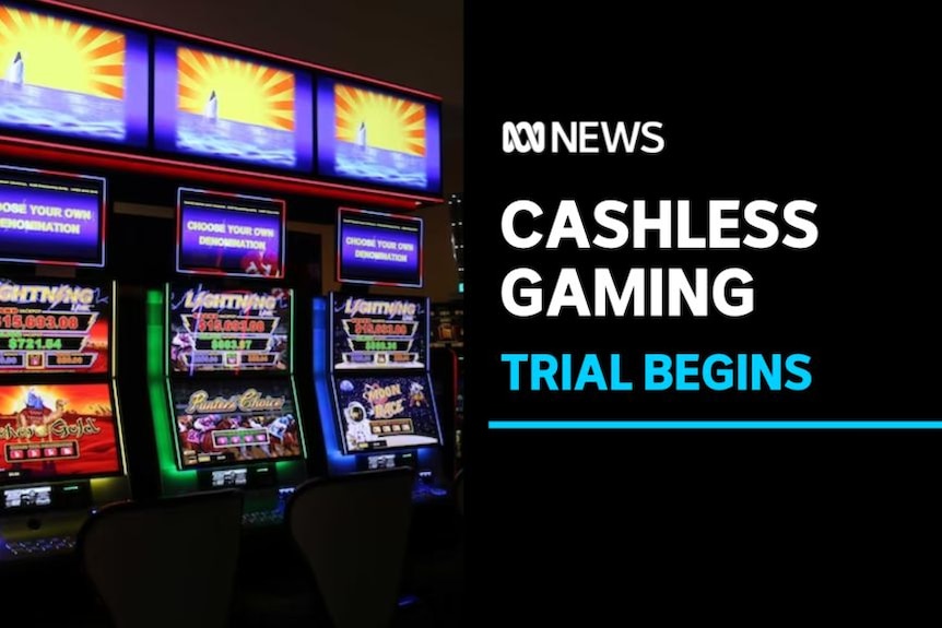 Cashless Gaming, Trial Begins: A bank of poker machines.